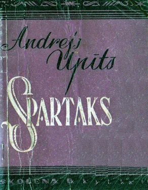 ANDREJS UPĪTS SPARTAKS обложка книги