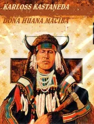 Karloss Kastaņeda - Dona Huana mācības