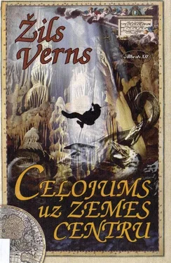 Žils Verns Ceļojums uz Zemes centru. обложка книги