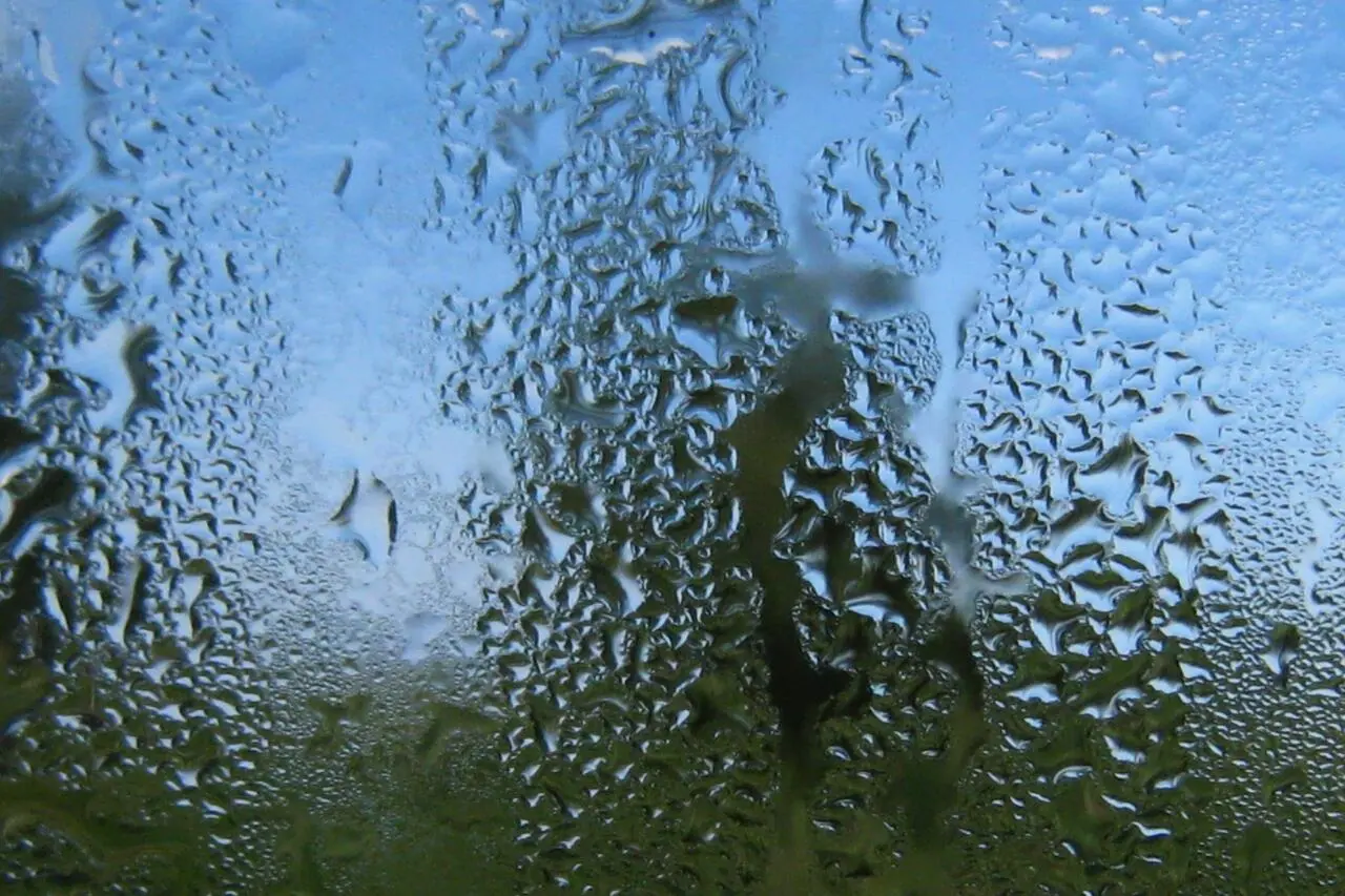 Elēģija Varbūt tad reiz sirds man mierā paliks Ielu troksnis ausīs lēni rims - фото 3