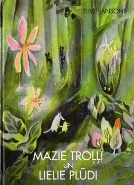 TUVE JANSONE MAZIE TROĻĻI UN LIELIE PLŪDI обложка книги