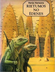 Harijs Harisons - RIETUMOS NO ĒDENES