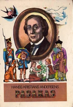 HANSS KRISTIĀNS ANDERSENS PASAKAS обложка книги