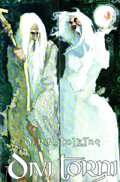 Džons Ronalds Ruels Tolkiens Gredzenu pavēlnieks-2 DIVI TORŅI обложка книги