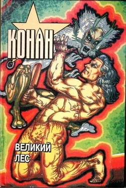 Тито Брас Конан. Великий лес обложка книги