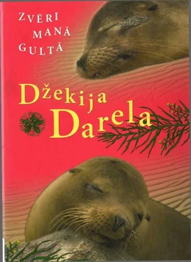 Džekija Darela ZVĒRI MANĀ GULTĀ обложка книги