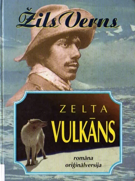 Žils Verns ZELTA VULKĀNS обложка книги