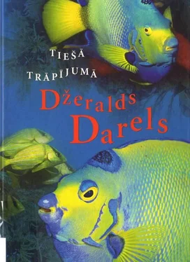 Džeralds Darels Tiešā trāpījumā обложка книги