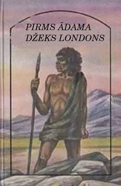 Džeks Londons Pirms Ādama обложка книги