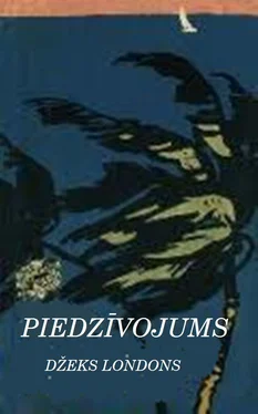 Džeks Londons Piedzīvojums обложка книги