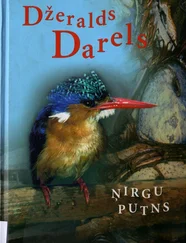 Džeralds Darels - Ņirgu putns