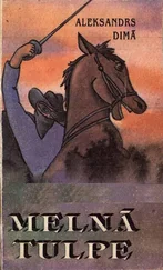 ALEKSANDRS DIMĀ - MELNĀ TULPE