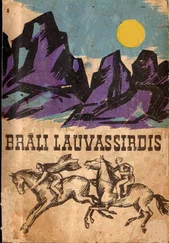 ASTRĪDA LINDGRĒNA - BRĀĻI LAUVASSIRDIS