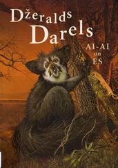 Džeralds Darels - Ai-Ai un ES