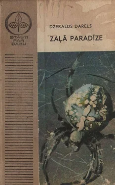 Džeralds Darels ZAĻĀ PARADĪZE обложка книги