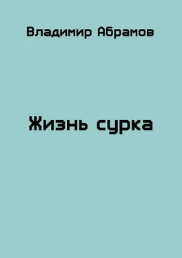 Владимир Абрамов Жизнь сурка обложка книги