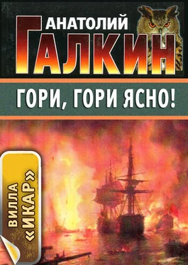 Анатолий Галкин Гори, гори ясно! обложка книги