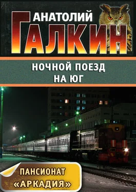 Анатолий Галкин Ночной поезд на юг обложка книги