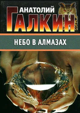 Анатолий Галкин Небо в алмазах обложка книги