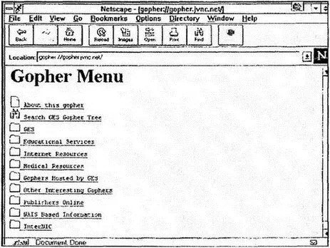 Рис 182Доступ к серверу gopher из браузера 183 Типы информации в gopher - фото 194