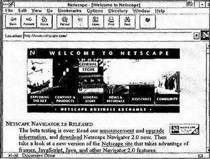 Рис 192Домашняя страница компании Netscape в браузере этой компании - фото 198