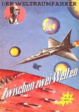 Algis Dubrys Zwischen zwei Welten обложка книги