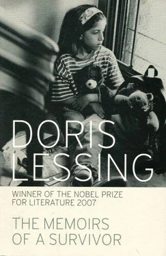 Doris Lessing The Memoirs of a Survivor обложка книги