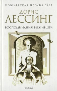 Дорис Лессинг Воспоминания выжившей обложка книги