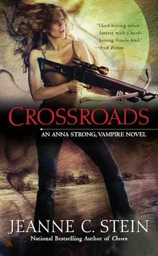 Jeanne Stein Crossroads обложка книги