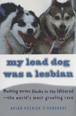 Brian O'Donoghue My Lead Dog Was a Lesbian: Mushing Across Alaska in the Iditarod--The World's Most Grueling Race обложка книги