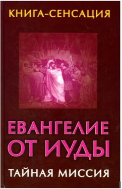 Владимир Бабанин Евангелие от Иуды обложка книги