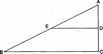 Where AD is half AC and AE is half AB how much greater is the larger - фото 3