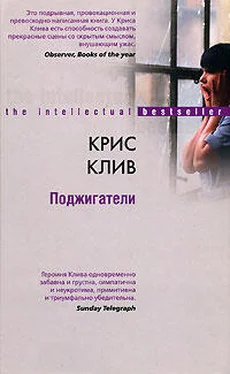 Крис Клив Поджигатели обложка книги