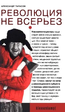 Александр Тарасов Революция не всерьез. Штудии по теории и истории квазиреволюционных движений обложка книги