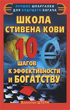 Валентин Штерн Школа Стивена Кови. 10 шагов к эффективности и богатству обложка книги