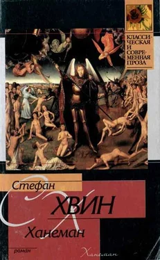 Стефан Хвин Ханеман обложка книги