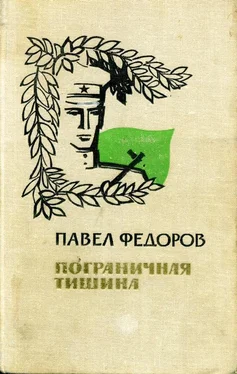 Павел Федоров Пограничная тишина обложка книги