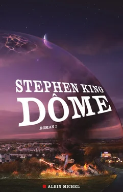 Stephen King Dôme. Tome 2 обложка книги
