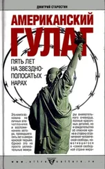 Дмитрий Старостин - Американский Гулаг - пять лет на звездно-полосатых нарах