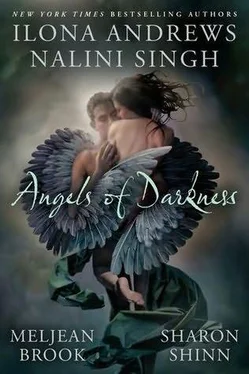 Ilona Andrews Angels of Darkness обложка книги