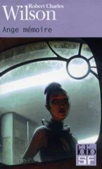Robert Wilson - Ange mémoire