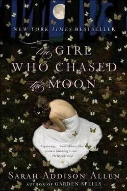 Sarah Allen The Girl Who Chased the Moon обложка книги