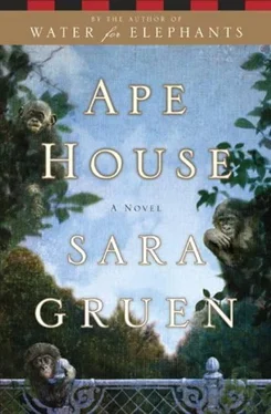 Sara Gruen Ape House обложка книги