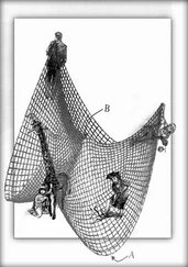 Екатерина Паньо - Имена льда