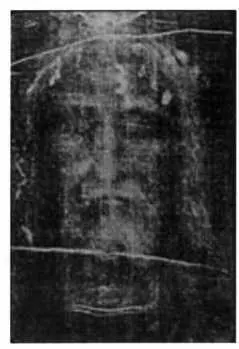 The face of the man on the Shroud seen in an extraordinarily detailed - фото 8