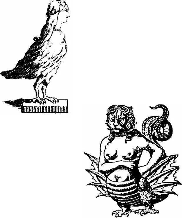 Die Sturmvögel sind den Seeleuten bald mordgierige pfeilschnelle Ungetüme - фото 17
