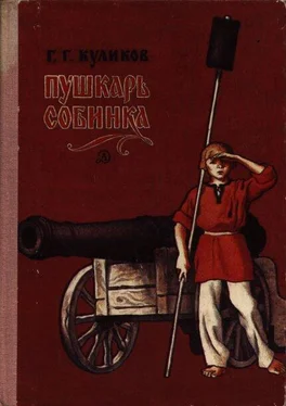 Геомар Куликов Пушкарь Собинка обложка книги