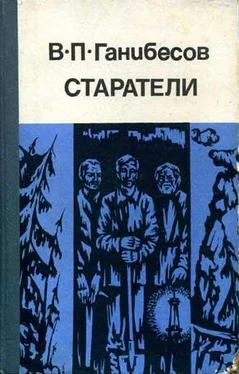 Василий Ганибесов Старатели обложка книги