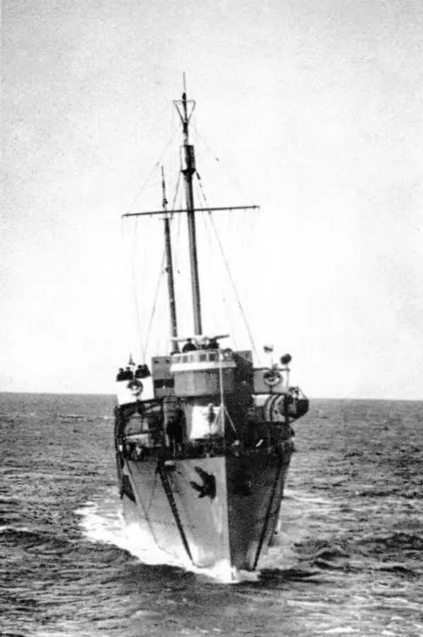 Эскадренные миноносцы типа Новик в ВМФ СССР - фото 189