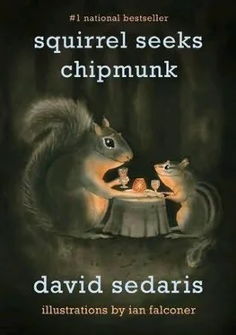 David Sedaris Squirrel Seeks Chipmunk обложка книги